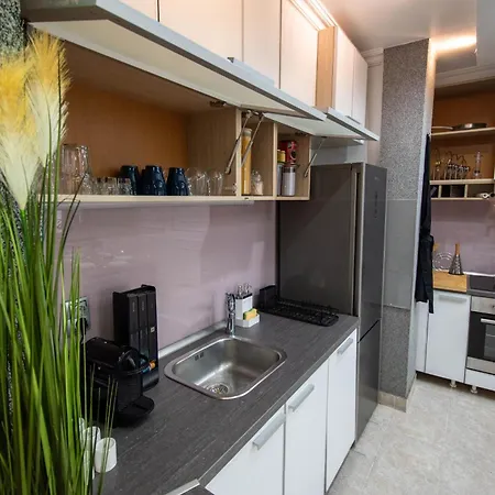 Spacious Duplex For Up To 6ppl With Free Parking New Novi Sad