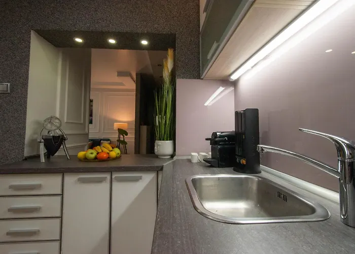 Apartman Spacious Duplex For Up To 6ppl With Free Parking New Novi Sad